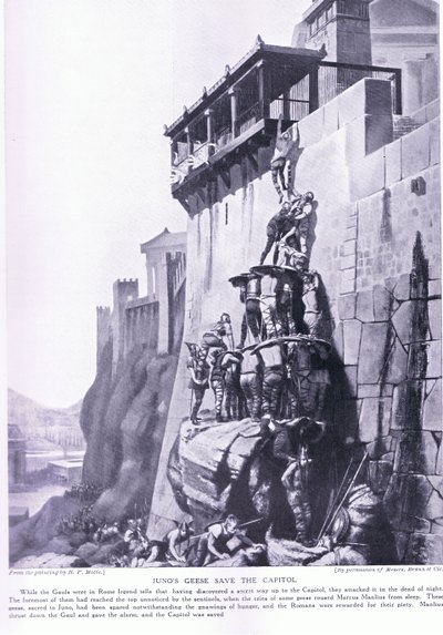 Junos kazları Capitol